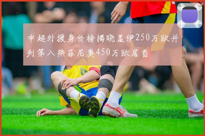 中超外援身价榜揭晓盖伊250万欧并列第八热菲尼奥450万欧居首
