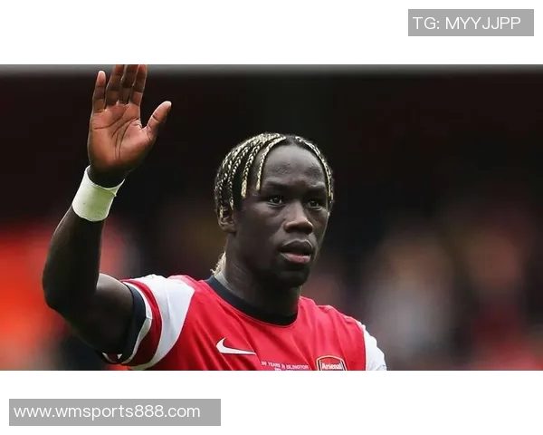 萨尼亚揭秘为何选择阿森纳而非曼联：语言障碍与球队氛围的深刻影响