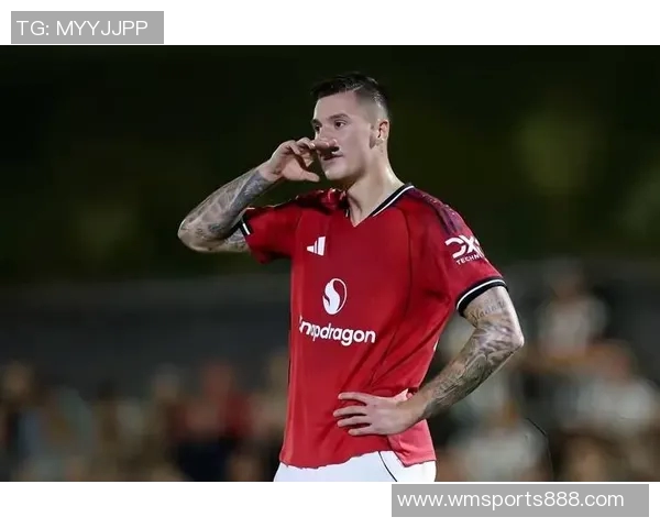 曼联球迷的谦逊挑战今日趣图让人忍俊不禁的足球趣事